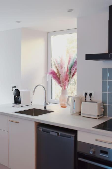 Appartement Aquaroom Rdc - Plage 50M - Rue Gratuite Saint-Malo Bagian luar foto